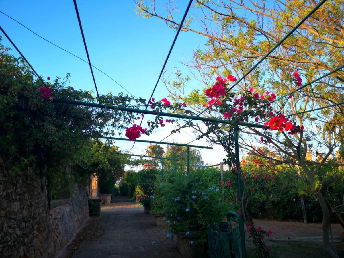 Masseria Provenzani Trepuzzi Exterior photo